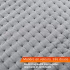 Couverture chauffante dos multifonction